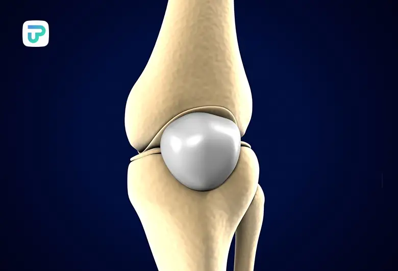 برای زانو درد چه بخوریم ؛ بهترین قرص برای خشکی زانو | توان مارکت