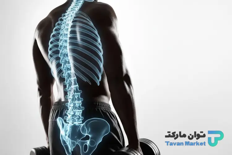 بدنسازی برای دیسک کمر